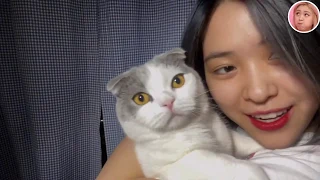 ITZY Ryujin vlive with her cat ''Dallie''│ITZY留真的貓咪''小月''出現在直播裡