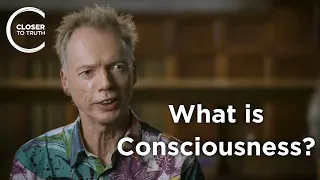 Andy Clark - What is Consciousness?