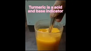 Turmeric Acid Base indicator Class 10th Acid Base indicator. Chemistry. #education #science