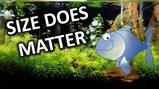 Choosing Aquarium Size | Why Tank Size Matters For Fish