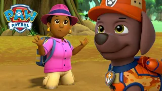 Ultimate Rescue Zuma sauve le maire d'un marécage et plus encore ! - PAW Patrol