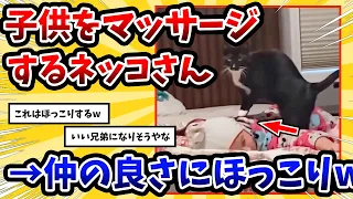 【2ch動物スレ】赤ちゃんを揉み揉みしてるネッコさん → 可愛すぎて飼い主悶絶www