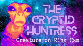 STRANGE CREATURE ON RING CAM - REMOTE VIEWING INVESTIGATION