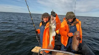 РЫБАЛКА НА БАРЕНЦЕВОМ МОРЕ / FISHING ON THE BARENTS SEA