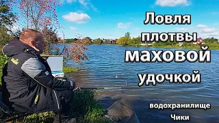 Ловля плотвы на маховую удочку.Маховая удочка для начинающих. Водохранилище Чики.