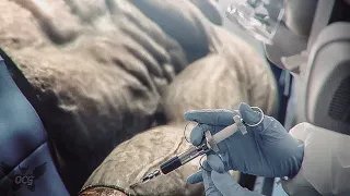 RESIDENT EVIL 3 REMAKE Cinematic - Creating Nemesis Cinematic