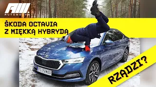 Skoda Octavia 1.5 TSI e-Tec Mild Hybrid. Co daje miękka hybryda? Jakie są plusy takiego rozwiązania?