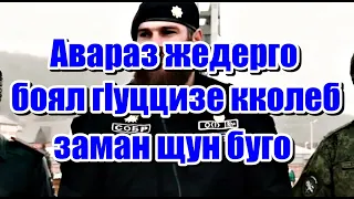 Щай авараз гlуццизе кколеб жендерго аваразул боял?