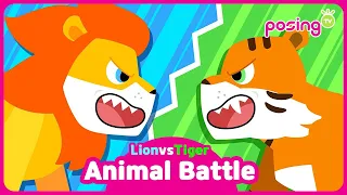 💥Lion vs Tiger | Animal battle | Which animal is more powerful? | posingTV