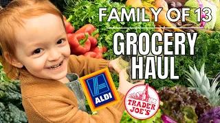 Family of 13❤️ Aldi and Trader Joe's! What Did We Spend? Are the Prices Better than Costco??