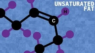 Saturated vs. Unsaturated Fats - Bite Sci-zed