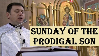 Sunday of the Prodigal Son (Lk. 15, 11-32)