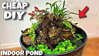 DIY Indoor Pond For Guppy Breeding! (Tutorial)