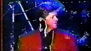 Peter Cetera LIVE- One Good Woman (1995)