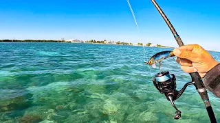 Florida Keys Fishing | ‘NO WAY’ Did I Think These Fish Would Eat This