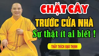 Sự Thật Ít Ai Biết " Về Chặt Cây To Trước Cửa Nhà " - Thầy Thích Đạo Thịnh