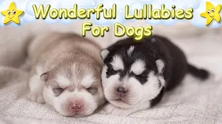 Soothing Calming Relaxing Sleep Music For Puppies ♫ Calm Relax Your Dog ♥ Dog Music