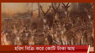 হরিণ বিক্রি করে কোটি টাকার বেশি আয় ঢাকা চিড়িয়াখানার 11Jan.22| Dhaka Zoo