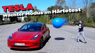 Tesla Wächter Modus (Sentry Mode) im Härtetest! - Mein armes Auto 😨 | Tips, Tricks & More