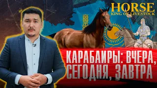 Какими качествами обладает казахский конь? «Жылқы – малдың патшасы». 3-серия