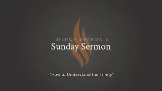 How To Understand the Trinity — Bishop Barron’s Sunday Sermon