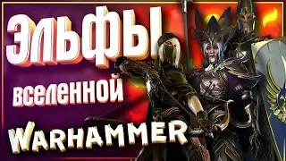 Эльфы Warhammer Fantasy: Лесные Эльфы, Высшие Эльфы, Темные Эльфы - в чем разница?