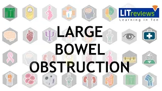 Large Bowel Obstruction