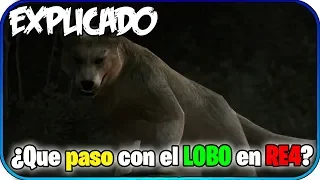 ¿Que paso con el LOBO NO INFECTADO? "Explicado" | Resident Evil 4 (Misterios)