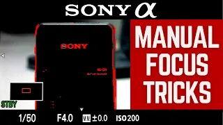 Get SHARP Manual Focus With These 3 Tricks || Sony Alpha (a7S III, a7 IV)