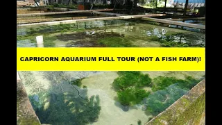 INCREDIBLE AQUATIC PLANT FARM in Singapore - CAPRICORN AQUARIUM FULL TOUR!