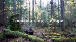 Природа России/Russian nature