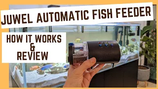 Juwel Easy Feed automatic fish feeder review - how to use it and how long it lasts