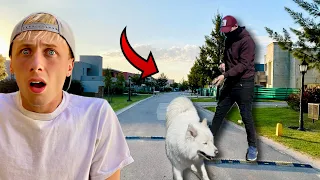 SECUESTRARON A MI PERRO THOR (SERIE COMPLETA)