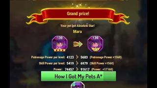 Hero Wars — How to Get Pets to Absolute Star