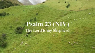 Psalm 23 (NIV) - The Lord is my Shepherd