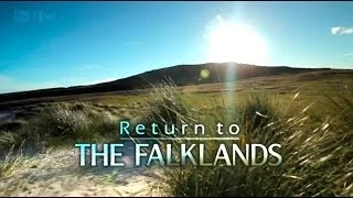 Return to the Falklands