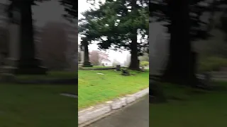 Bruce Lee’s gravesite in Seattle