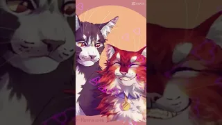 Warrior cats edit//Tall x Jake//credits in desc//#edit/#featherflight/#shorts/#warriorcats//