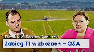 Po co oprysk T1 w zbożach? Prof. Zuzanna Sawinska odpowiada na Wasze pytania! e-pole