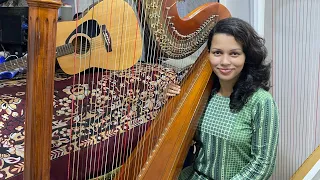 Yeh Sham Mastani | Harp Cover by Meagan Pandian