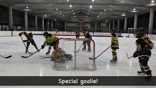 Mic’d Up James-Special Hockey Goalie Part 3 🤣 #micdup #beesnuts #deeznuts #hockey #youthhockey