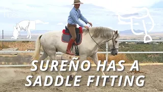 Sureño has a Saddle Fitting and Body Assessment!