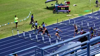 Men 110m Hurdles Finals North Florida Collegiate Invitational April 30, 2022