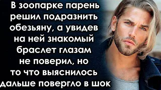 Решив подразнить обезьяну в зоопарке, парень увидел знакомый браслет, но то что выяснилось дальше