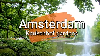 ⁴ᴷ⁶⁰ 🇳🇱 Amsterdam - Keukenhof gardens