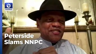 'Free Nigeria's Economy From Shackles Of NNPC', Peterside Tells Tinubu's Govt