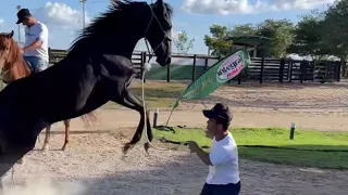 NATHAN QUEIROZ NA RESENHA NA VILA ANÃO AMANÇANDO POTRO