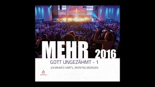 MEHR 2016 - Johannes Hartl: Gott ungezaehmt - Teil 2