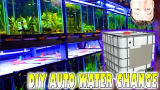 DIY Auto Water Change System: Avoid My Mistakes