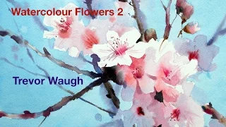 Trevor Waugh's Watercolour Flowers 2